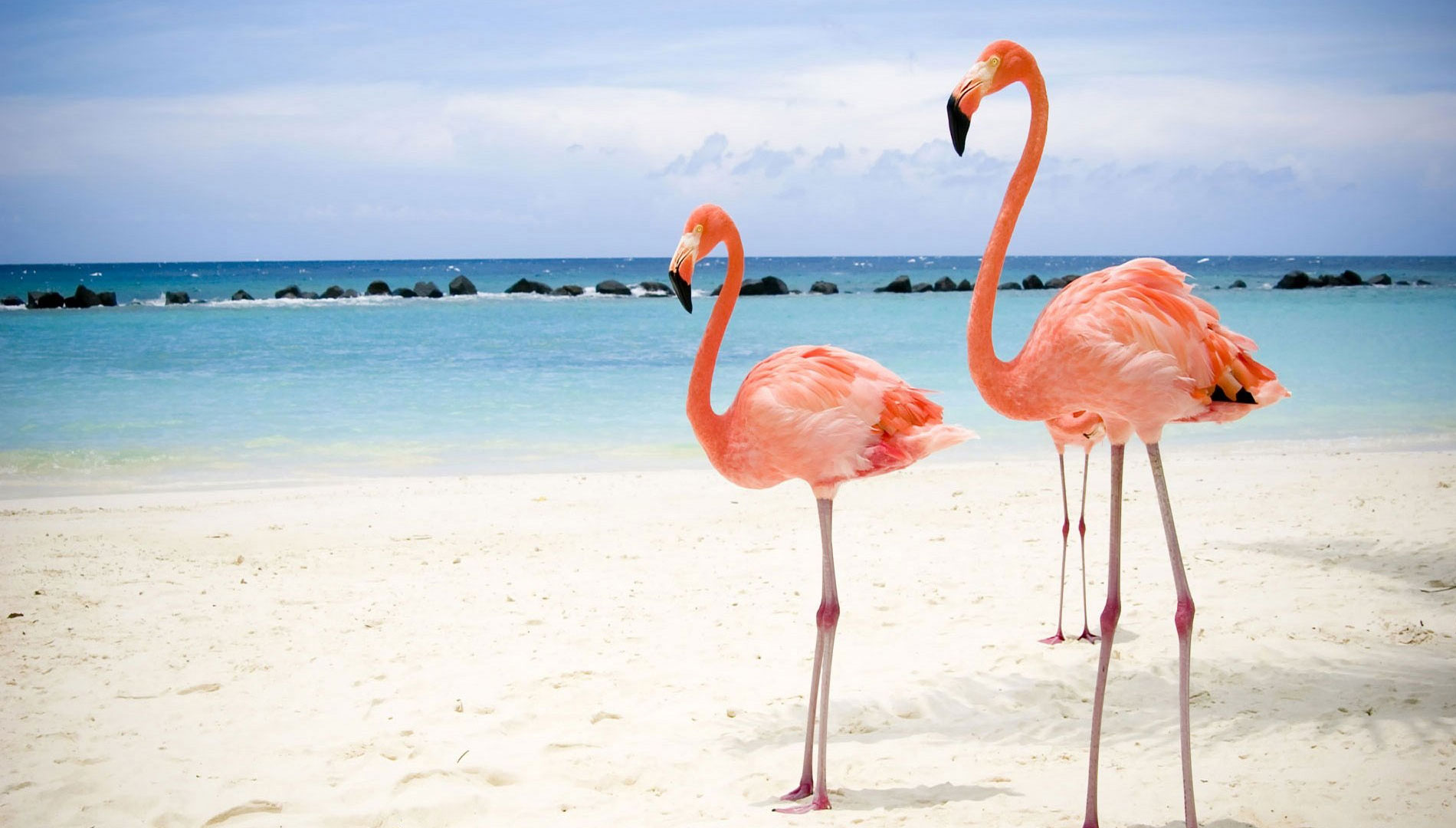 Programma achtergrond